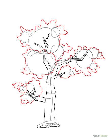 433x550 How To Draw A Realistic Tree (For Full