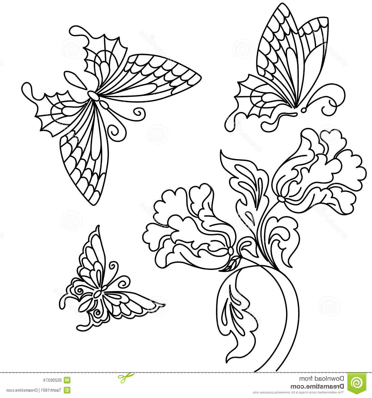 1300x1390 All Sketch Flowers With Butterfly Photos How To Draw Butterfly