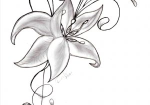 300x210 Easy Step By Step Drawings Of Flowers