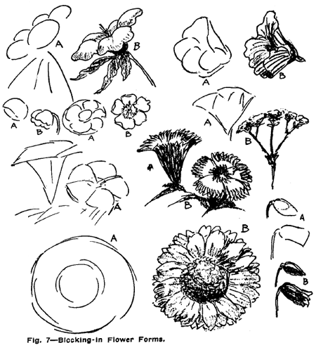 450x498 Drawing Flowers, Plants, Weeds, And Leaves With Drawing Lessons