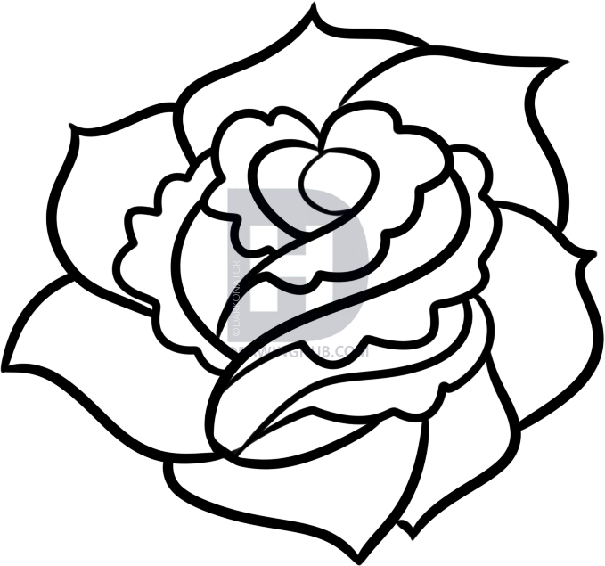 679x635 Pictures How To Draw A Rose For Beginners,