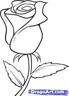 236x330 How To Draw A Rose Bud, Rose Bud Step 10