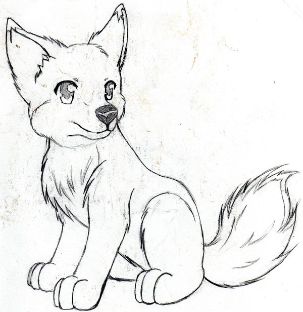 600x616 Realistic Wolf Drawing