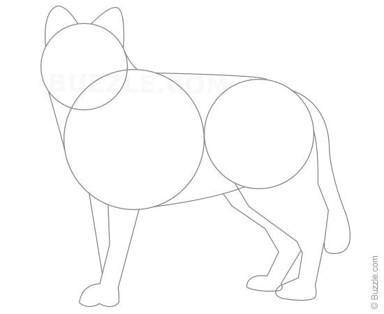 550x450 Step By Step Instructions For Beginners To Draw A Wolf