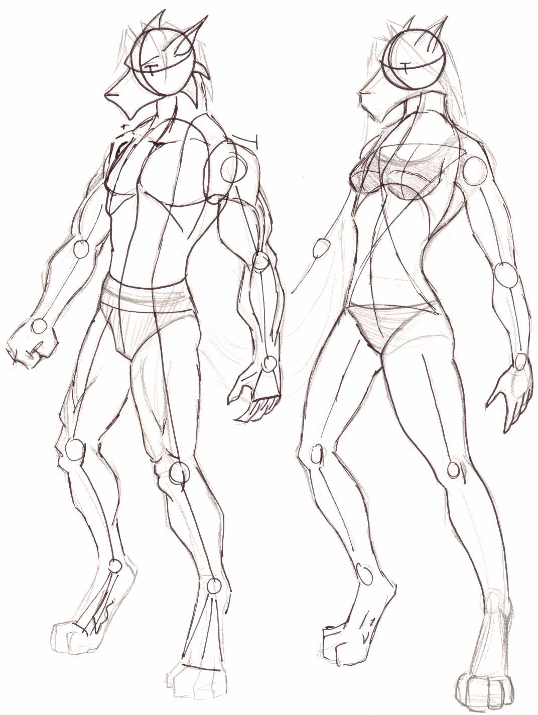 1072x1424 Wolf Tutorial Part A By Bayne