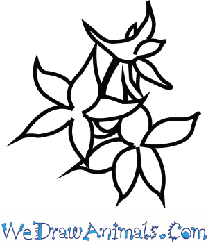 300x350 How To Draw A Larkspur Flower