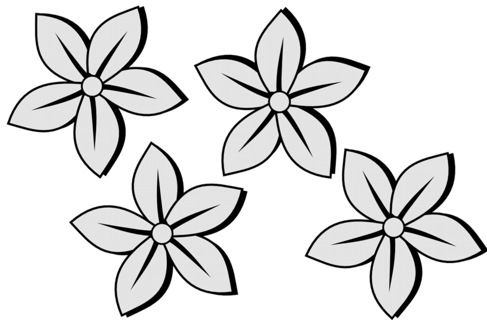 990x652wesome Image Of Flower To Draw How To Draw Flower Draw