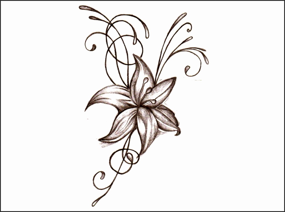 983x729 How To Draw Pretty Flower Easy Uba8b Elegant How To Draw