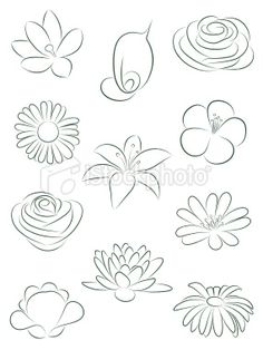 236x314 Gallery How To Draw Simple Flowers,