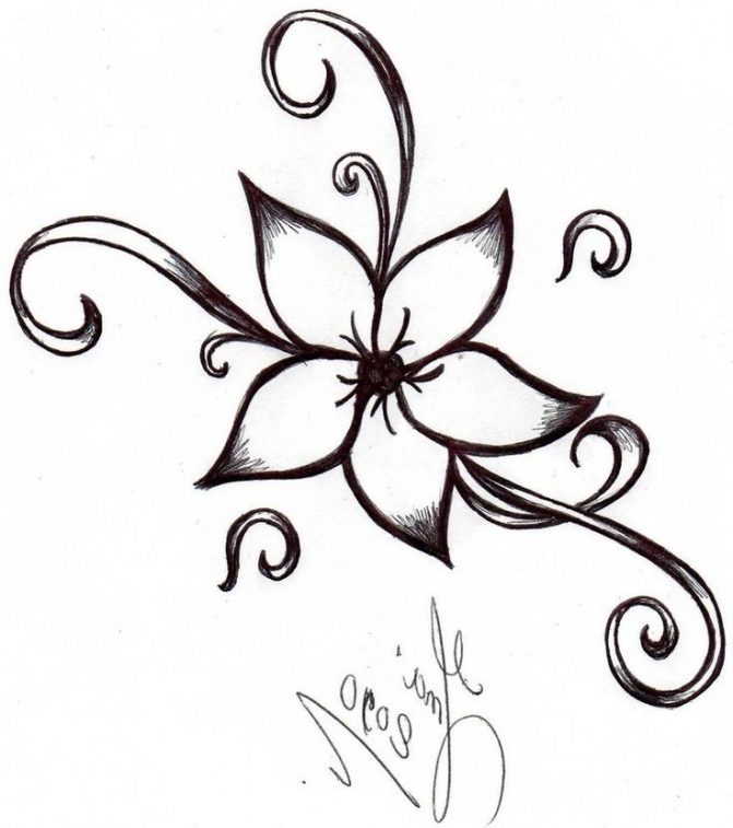 671x757 Pretty Flower Drawing Step By Step Tags Pretty Flower Drawings