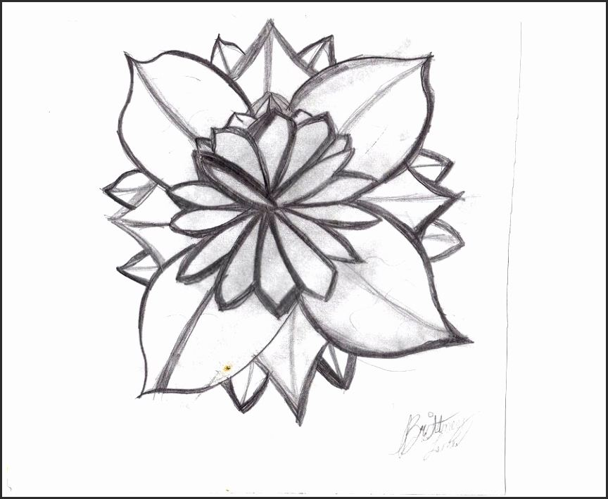 864x709 Drawings Of Lilies Flower En4ja Beautiful How To Draw A Tiger Lily