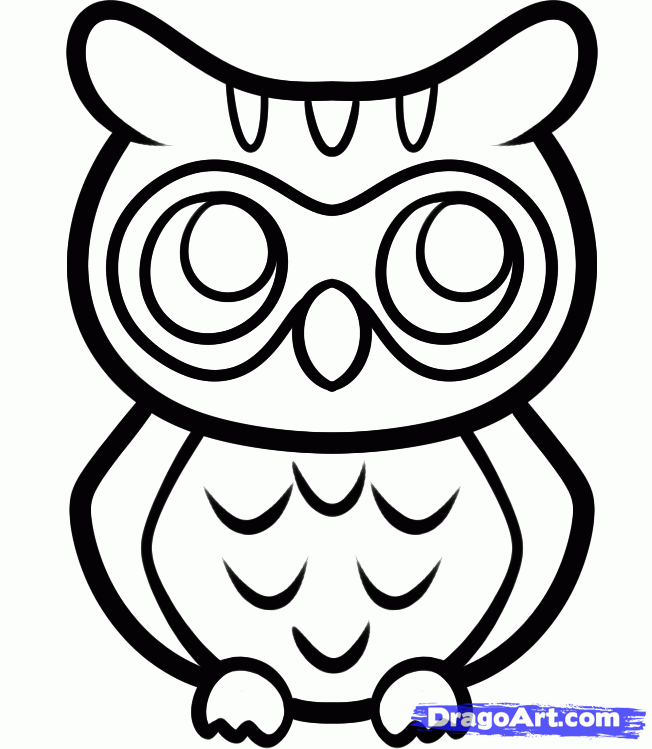 652x749 How To Draw An Anime Owl, Step By Step, Anime Animals, Anime, Draw