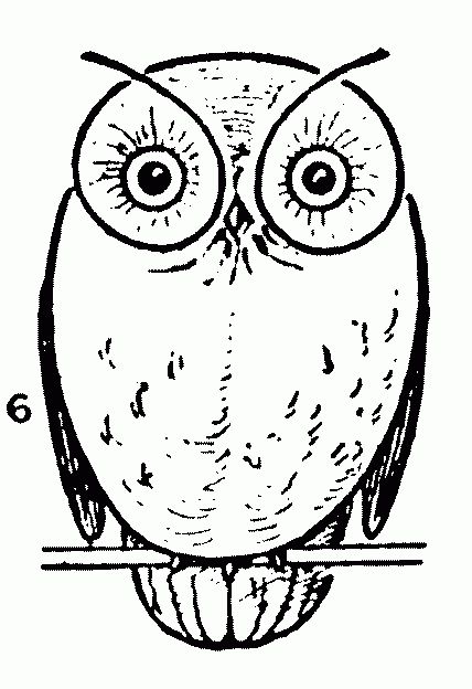 428x624 The Best Simple Owl Drawing Ideas On Owl Drawing