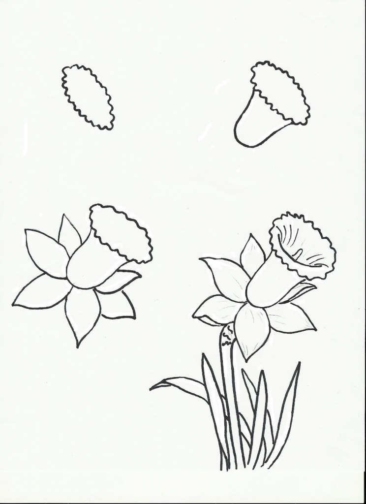 744x1024 Easy Things To Draw Step By Step Flowers Easy Rose Drawing Steps