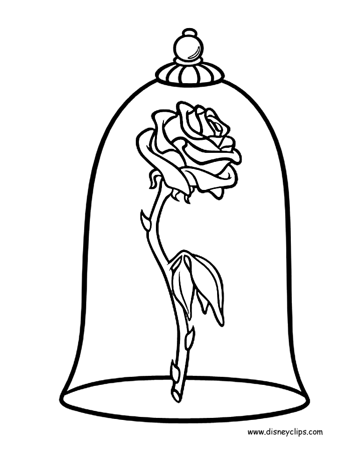 720x920 Image Result For How To Draw The Rose From Beauty And The Beast