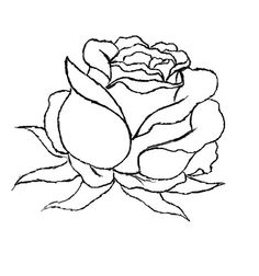 236x252 Drawn Red Rose Black And White Step By Step