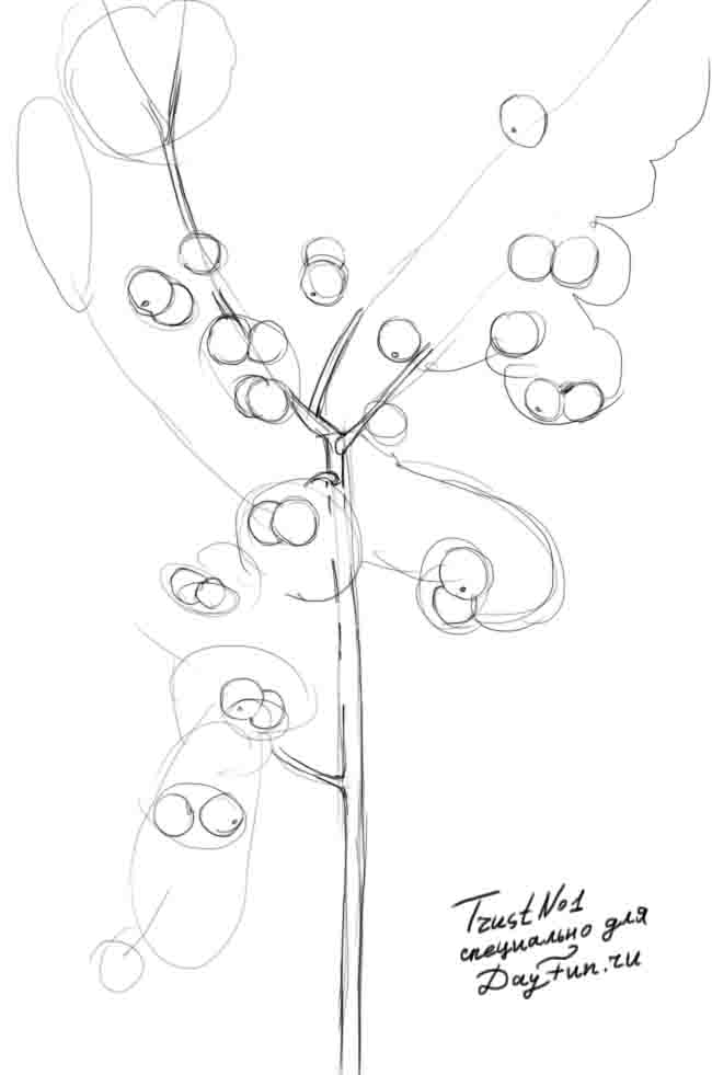 650x981 How To Draw An Apple Tree Step By Step
