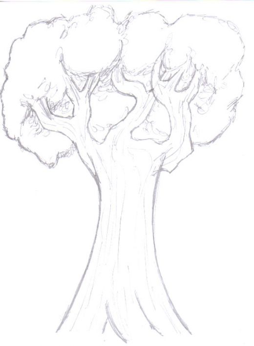 520x707 Drawing Trees How To Draw A Tree Step By Step Hubpages