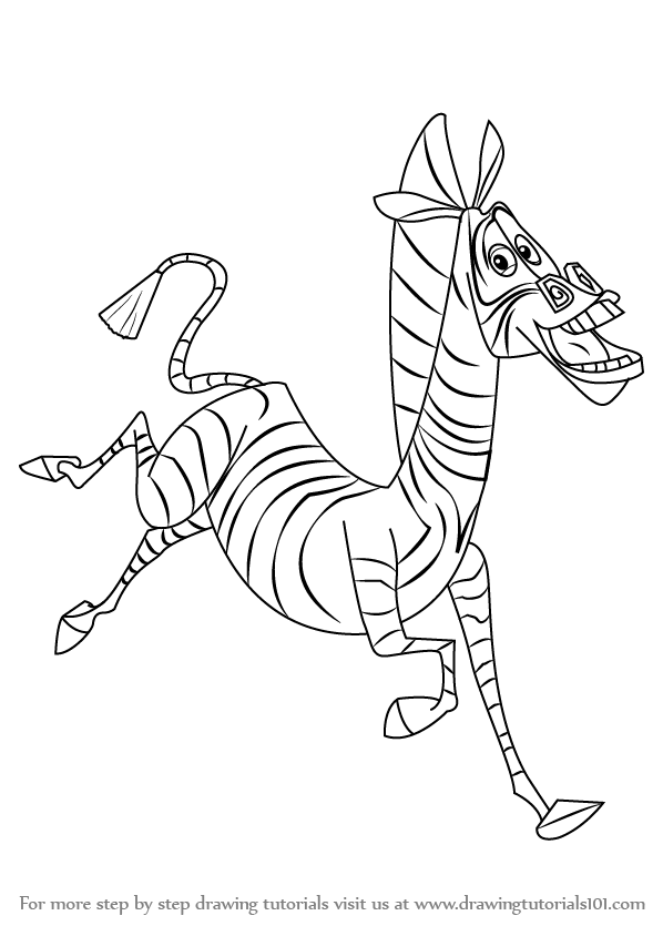 598x844 Drawn Zebra Line Drawing