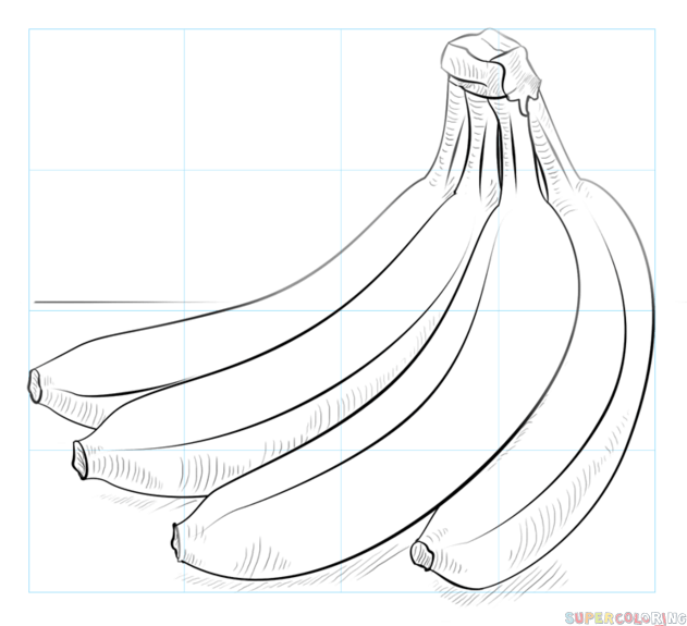 631x575 How To Draw A Bunch Of Bananas Step By Step Drawing Tutorials