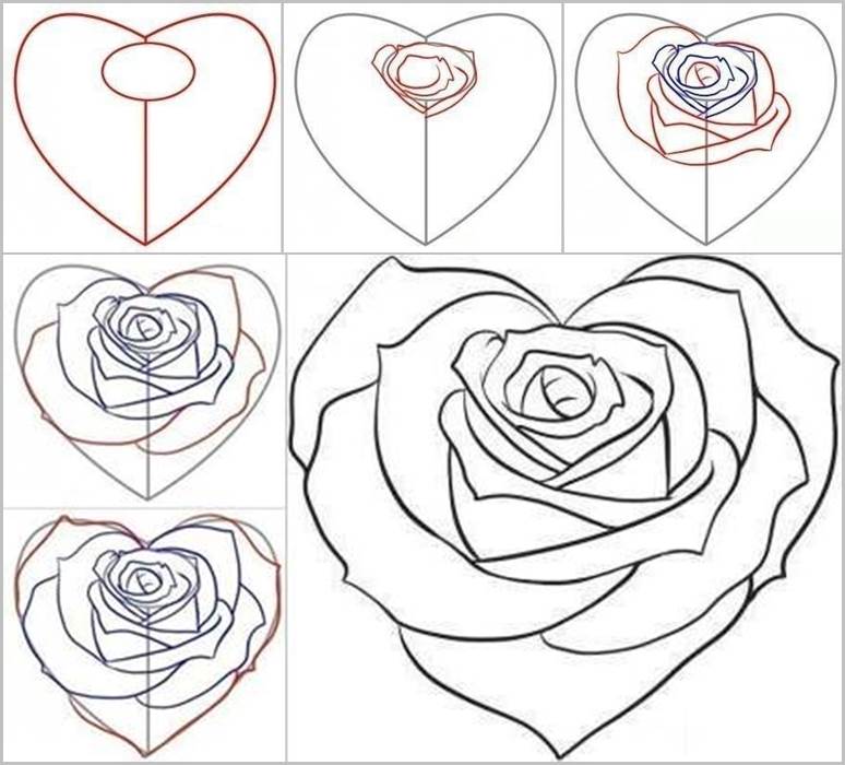 774x700 How To Draw A Rose Step By Step