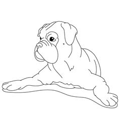 236x236 How To Draw A Dog Boxer Arts And Crafts Dog