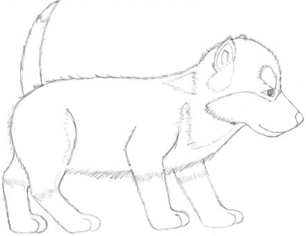 441x341 Tekenen How To Draw A Dogpuppy