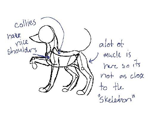 500x399 How To Draw Anime Dogs, Step By Step, Anime Animals, Anime, Draw