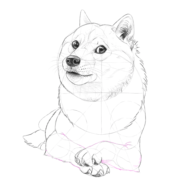 600x600 Such Tutorial, Many Fun How To Draw Doge!