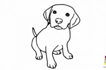 210x140 How Draw A Dog Easy Steps Simple Dog Drawings Step Step How