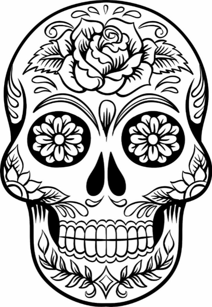 728x1054 Gallery Sugar Skull Step By Step Drawing,
