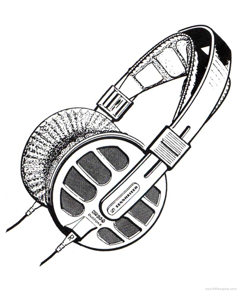 800x977 Sennheiser Hd 560