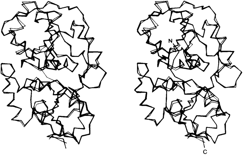 850x539 Stereo Drawing Carbon Trace For Our Model