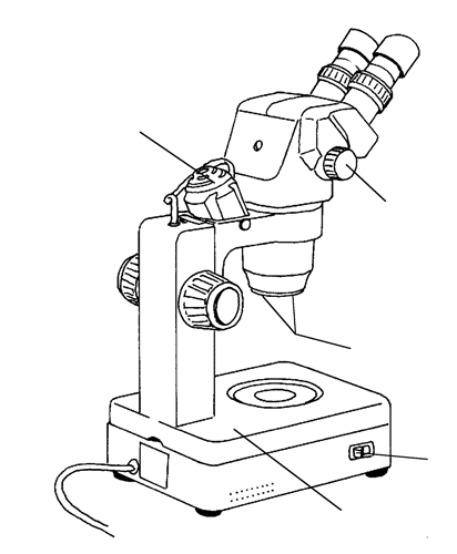 412x500 Biology 130 Lab 1