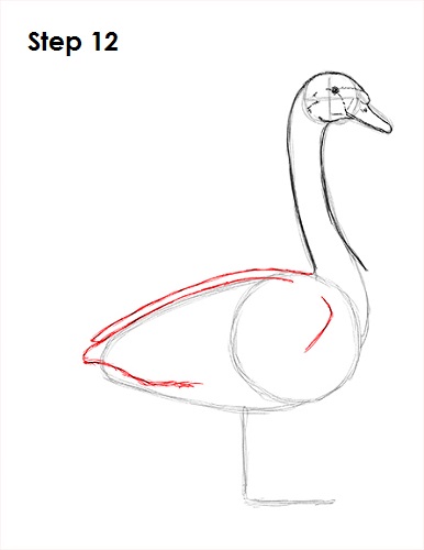 386x500 How To Draw A Swan