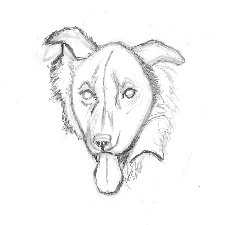 912x890 Wordless Wednesday Drawing Zipper American Dog Blog