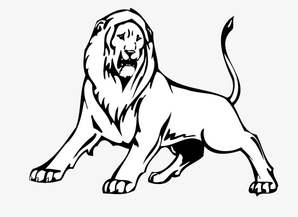 589x428 Stick Figure Lion, Stick Figure, Lion, Animal Png Image