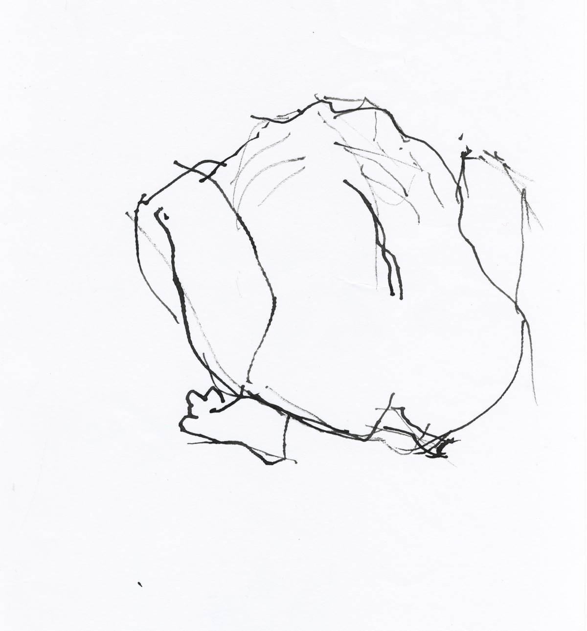 1200x1290 Figure Drawing With A Stick Mary Rose Riley