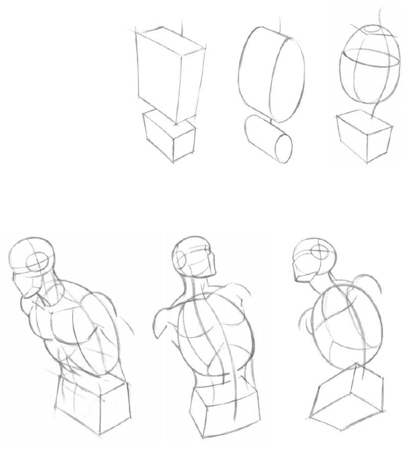 798x899 Figure Drawing Basics Donald Simpson
