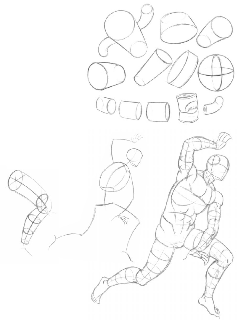 804x1078 Figure Drawing Basics Action Amp Structure (2000 2nd Ed., March