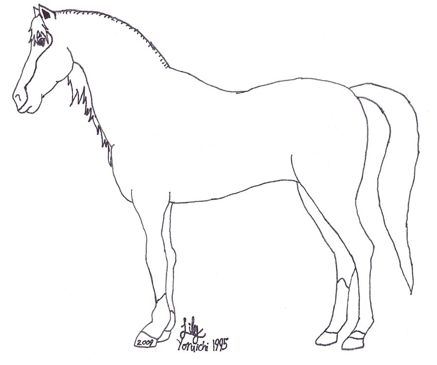 900x752 Detailed Horse Trace