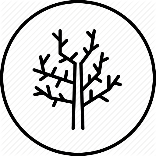 512x512 Fall, Stick, Tree, Winter, Wooden Icon Icon Search Engine