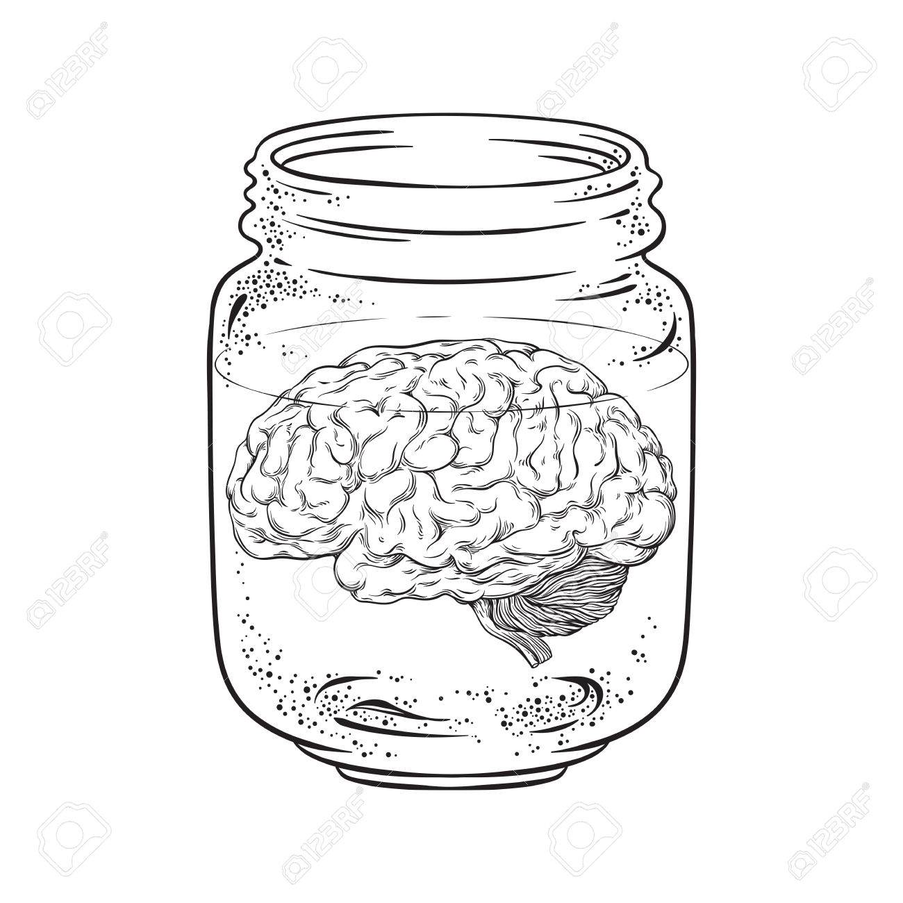 1300x1300 Human Brain In Glass Jar Isolated. Sticker, Print Or Blackwork