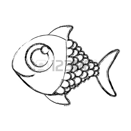 450x450 The Species Of River Fish Images Amp Stock Pictures. Royalty Free
