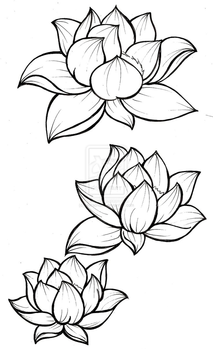 736x1208 Simple Lotus Flower Drawing 15 Stiletto Nail Designs To Try Out