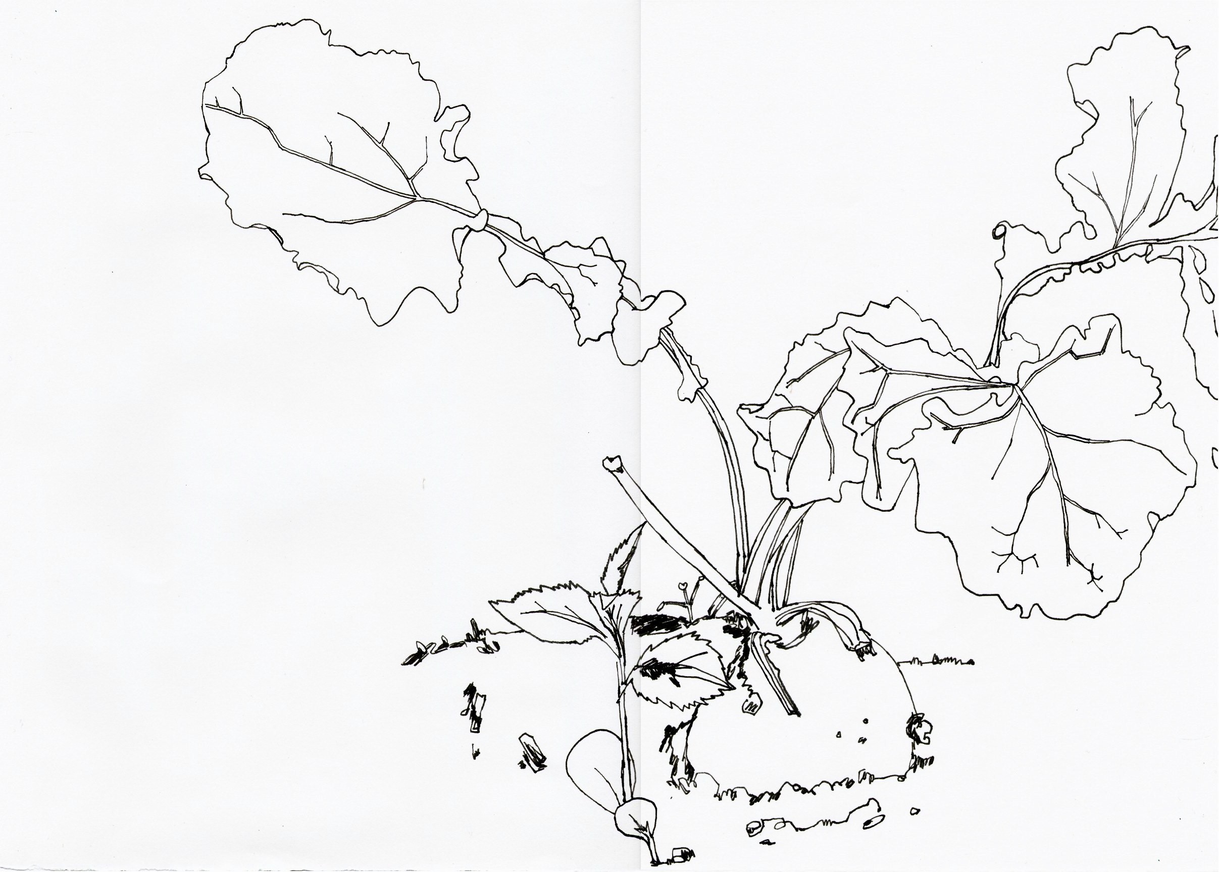 2414x1728 January 2014 Eve's Art