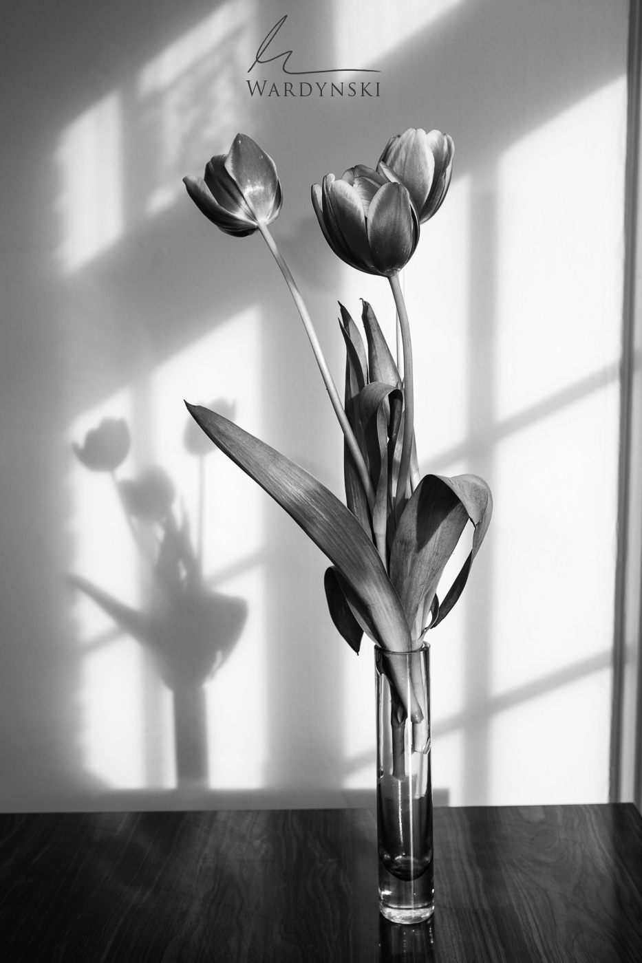 933x1400 Nature Mike Photography