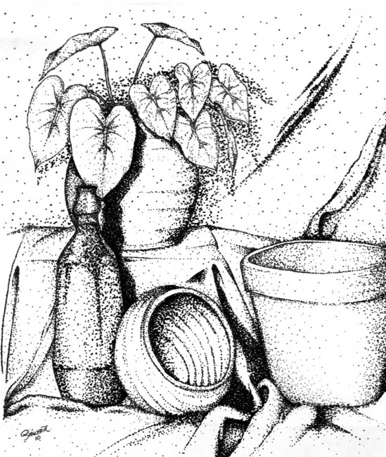 549x650 Still Life Printable Coloring Pages Coloring Pages