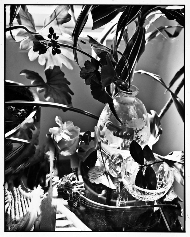 642x800 Black And White Photography