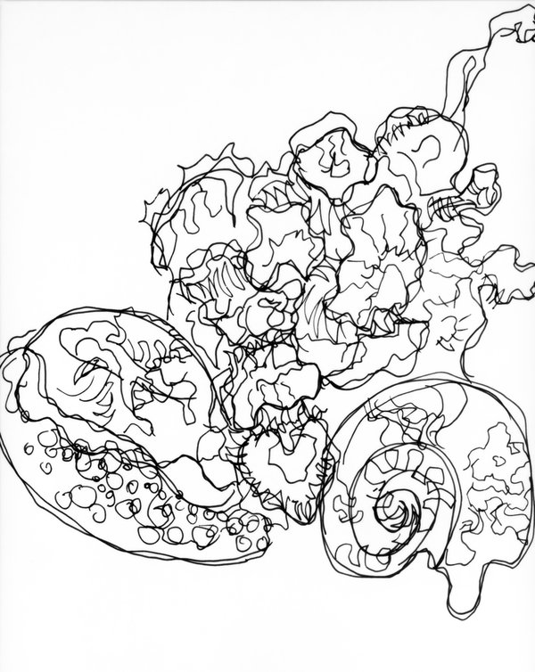 600x754 Semi Blind Contour Drawing By Jrathage